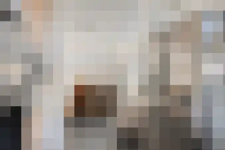Pinksterbloemlaan 1 Berkel en Rodenrijs thumbnail 13