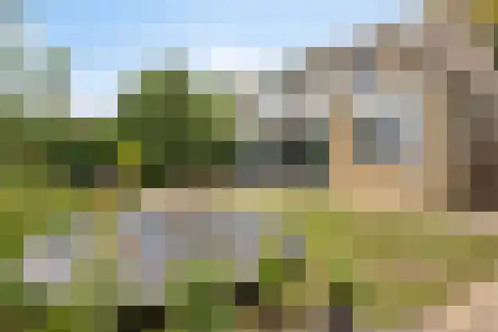 Pinksterbloemlaan 1 Berkel en Rodenrijs thumbnail 16
