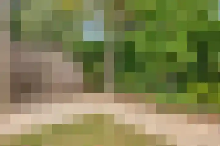 Pinksterbloemlaan 1 Berkel en Rodenrijs thumbnail 17