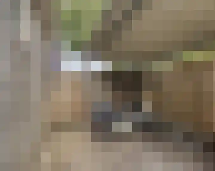 Pinksterbloemlaan 1 Berkel en Rodenrijs thumbnail 18