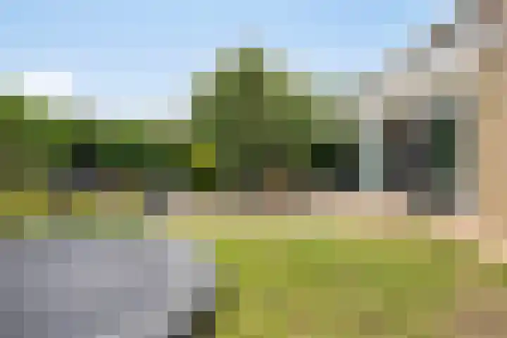 Pinksterbloemlaan 1 Berkel en Rodenrijs thumbnail 19