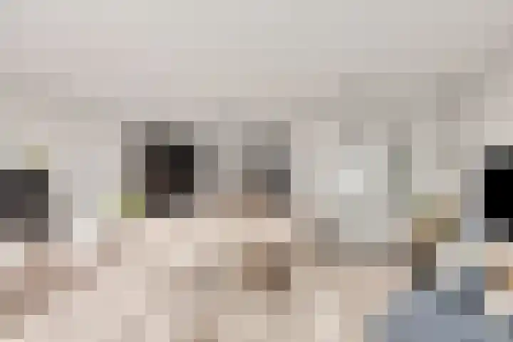 Pinksterbloemlaan 1 Berkel en Rodenrijs thumbnail 21