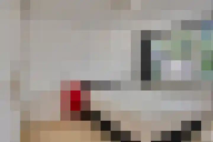 Pinksterbloemlaan 1 Berkel en Rodenrijs thumbnail 33