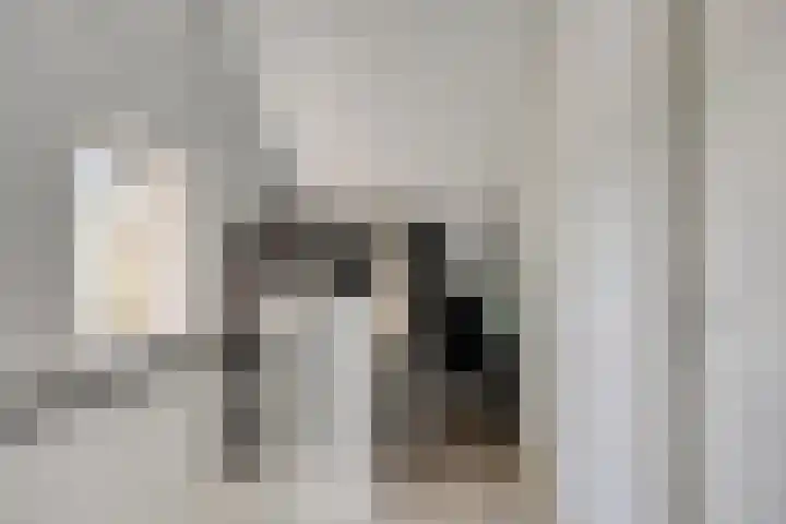 Pinksterbloemlaan 1 Berkel en Rodenrijs thumbnail 35