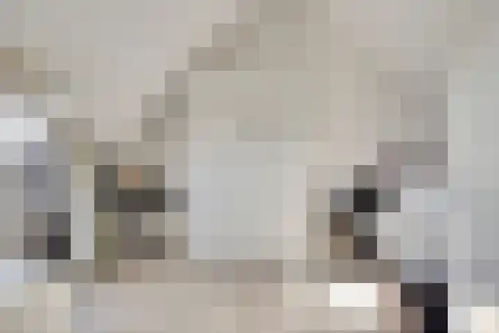 Pinksterbloemlaan 1 Berkel en Rodenrijs thumbnail 36