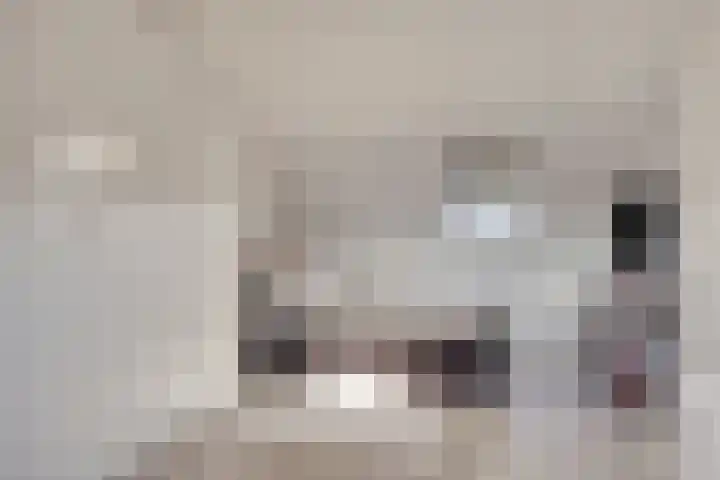 Pinksterbloemlaan 1 Berkel en Rodenrijs thumbnail 38