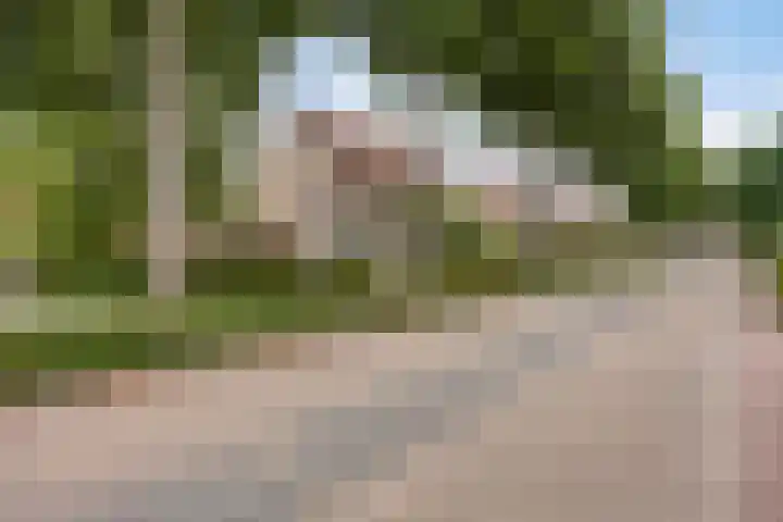 Pinksterbloemlaan 1 Berkel en Rodenrijs thumbnail 39