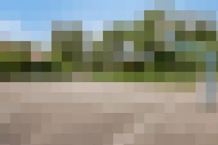 Pinksterbloemlaan 1 Berkel en Rodenrijs thumbnail 40