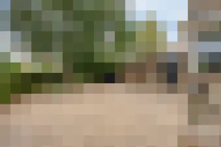 Pinksterbloemlaan 1 Berkel en Rodenrijs thumbnail 5