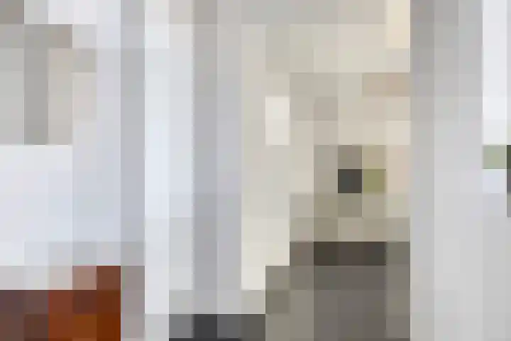 Pinksterbloemlaan 1 Berkel en Rodenrijs thumbnail 6