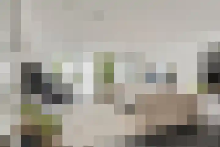Pinksterbloemlaan 1 Berkel en Rodenrijs thumbnail 7