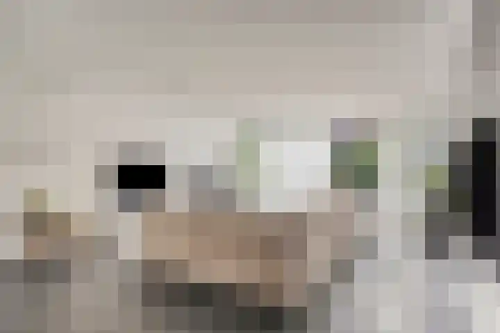 Pinksterbloemlaan 1 Berkel en Rodenrijs thumbnail 8