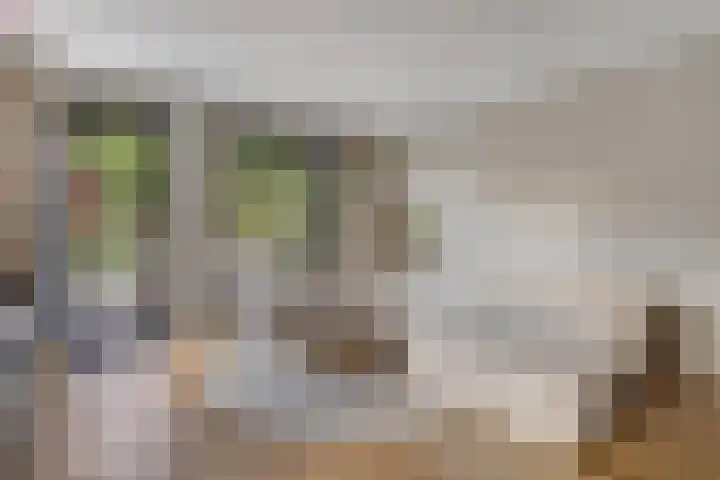 Pinksterbloemlaan 1 Hoeven thumbnail 11