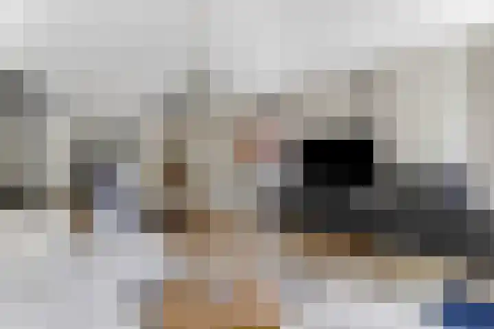 Pinksterbloemlaan 1 Hoeven thumbnail 12