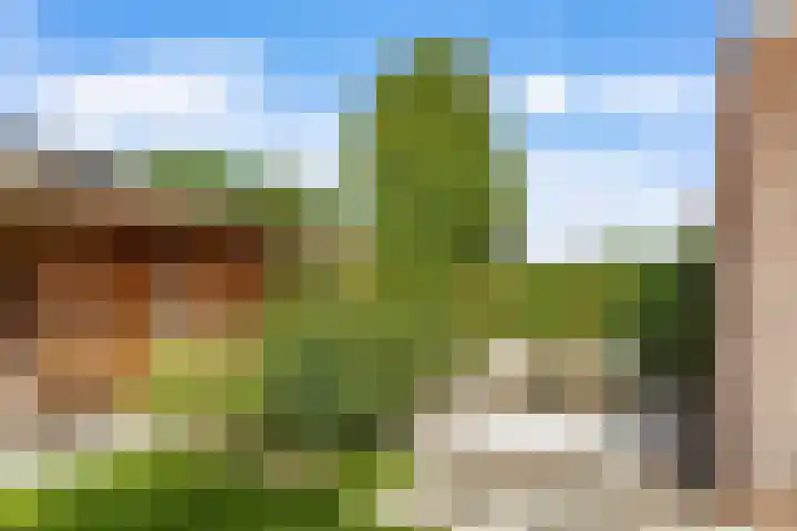 Pinksterbloemlaan 1 Hoeven thumbnail 13