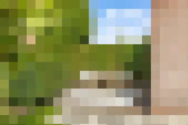 Pinksterbloemlaan 1 Hoeven thumbnail 14