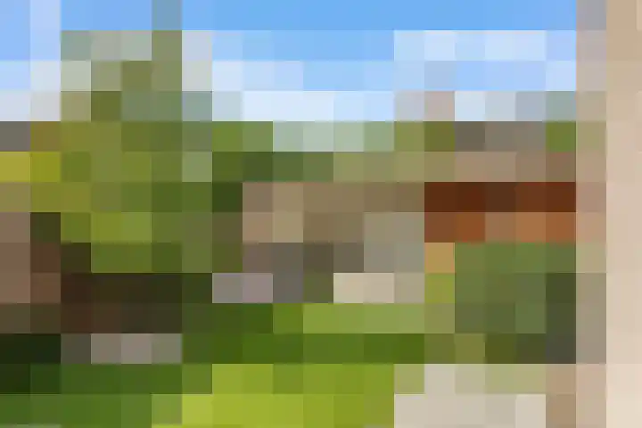 Pinksterbloemlaan 1 Hoeven thumbnail 15