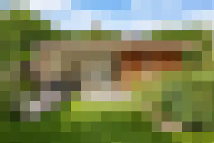 Pinksterbloemlaan 1 Hoeven thumbnail 16