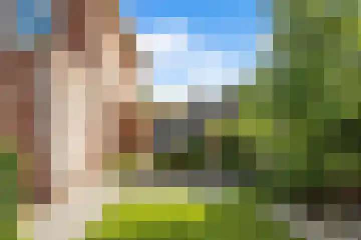 Pinksterbloemlaan 1 Hoeven thumbnail 17