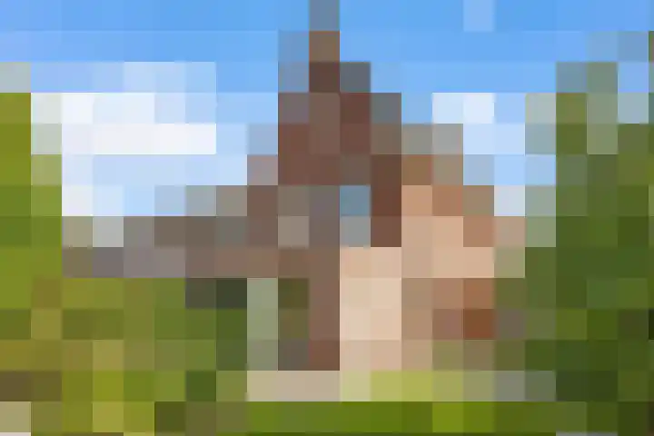 Pinksterbloemlaan 1 Hoeven thumbnail 18
