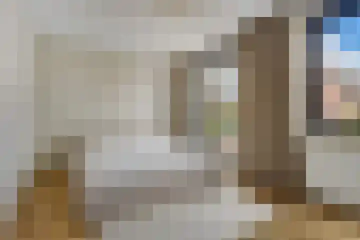 Pinksterbloemlaan 1 Hoeven thumbnail 20