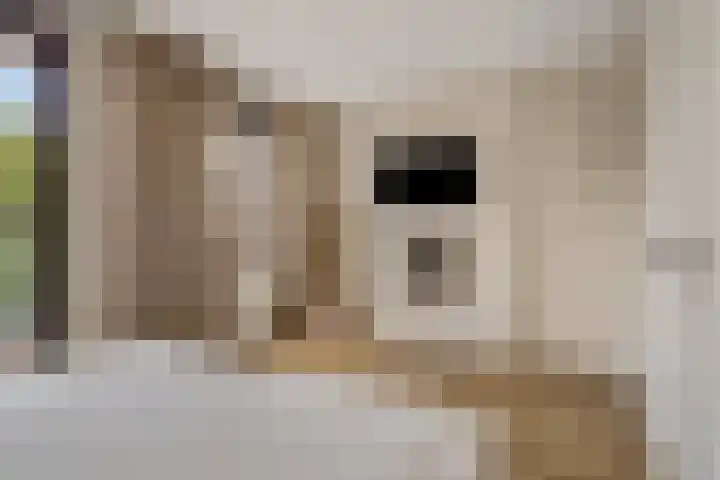 Pinksterbloemlaan 1 Hoeven thumbnail 21