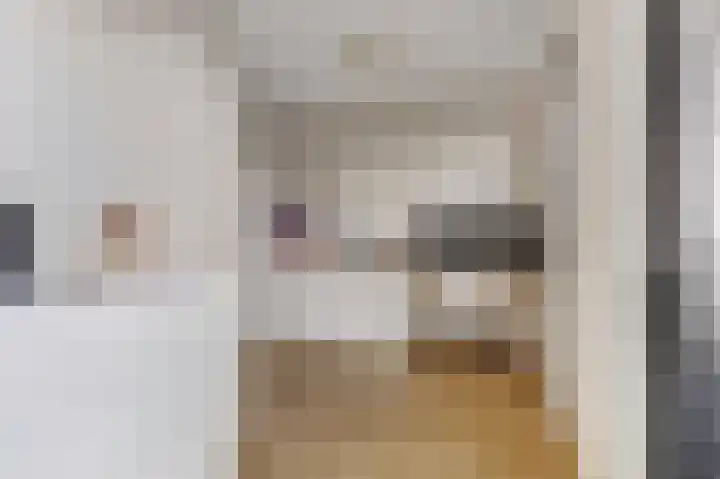 Pinksterbloemlaan 1 Hoeven thumbnail 22