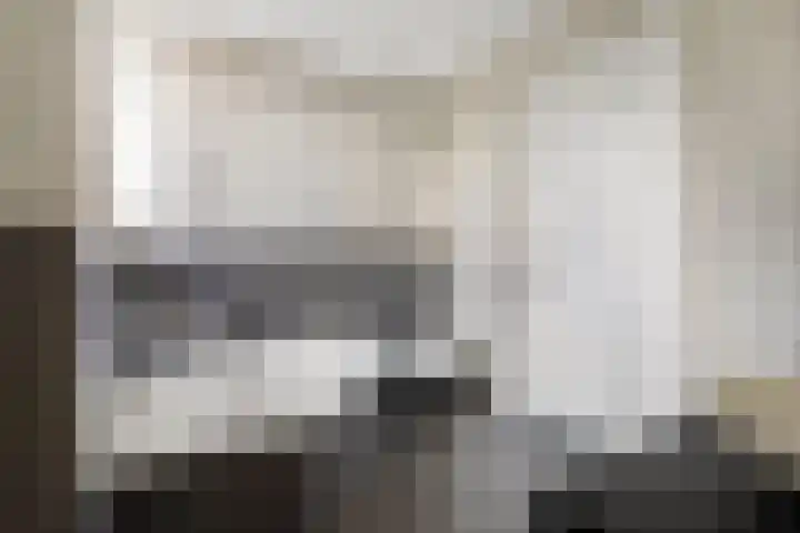 Pinksterbloemlaan 1 Hoeven thumbnail 24