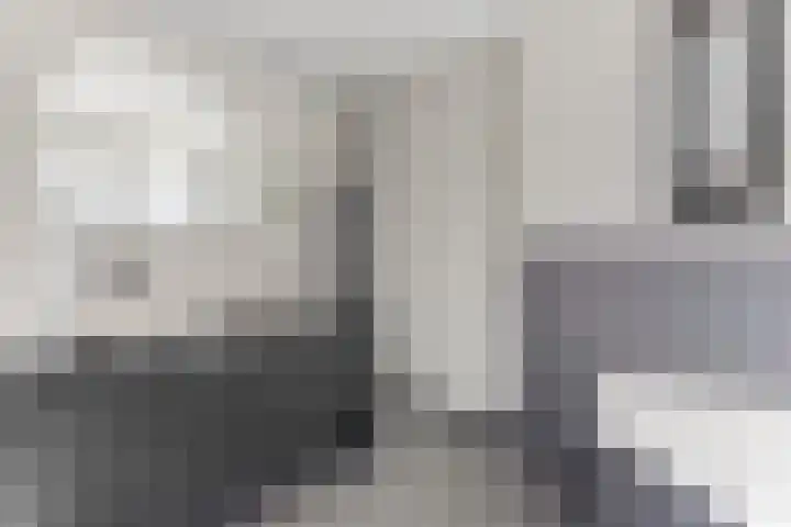 Pinksterbloemlaan 1 Hoeven thumbnail 27