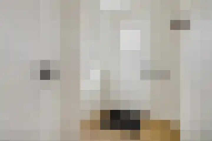 Pinksterbloemlaan 1 Hoeven thumbnail 4