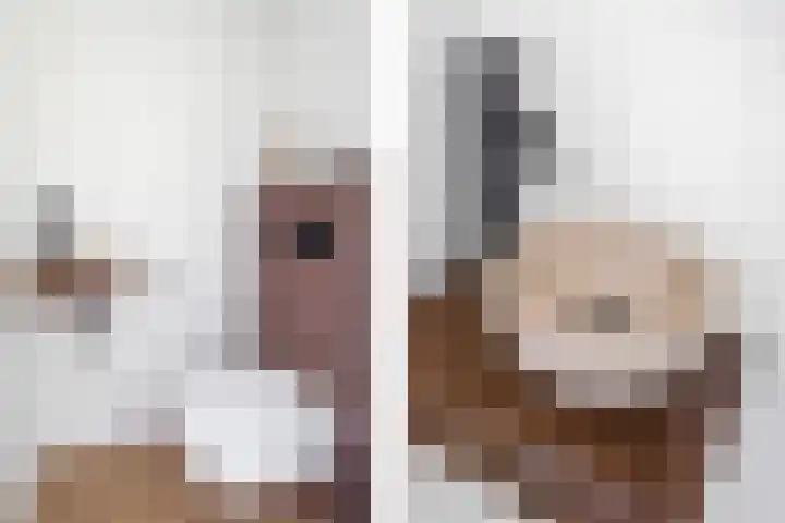 Pinksterbloemlaan 1 Hoeven thumbnail 5