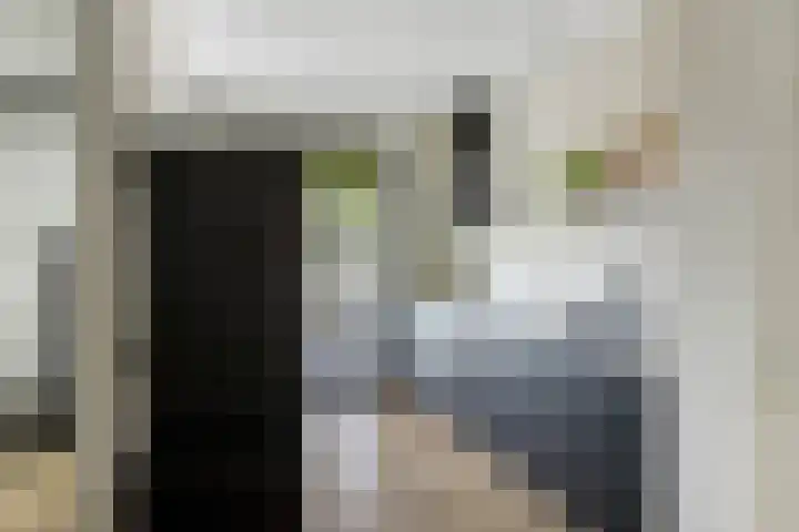 Pinksterbloemlaan 1 Hoeven thumbnail 6
