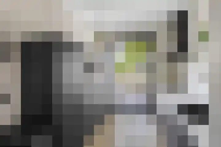 Pinksterbloemlaan 1 Hoeven thumbnail 7