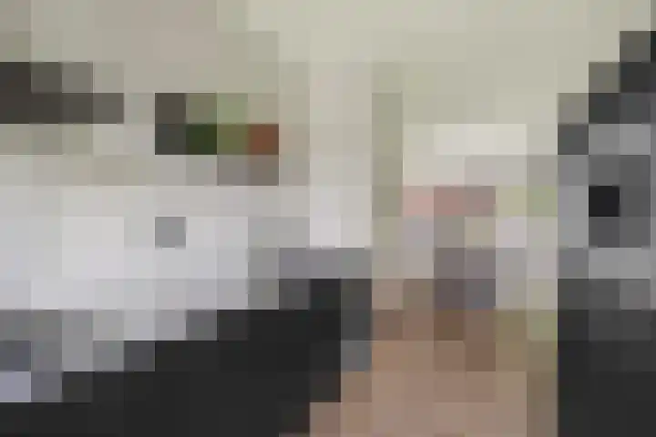 Pinksterbloemlaan 1 Hoeven thumbnail 8