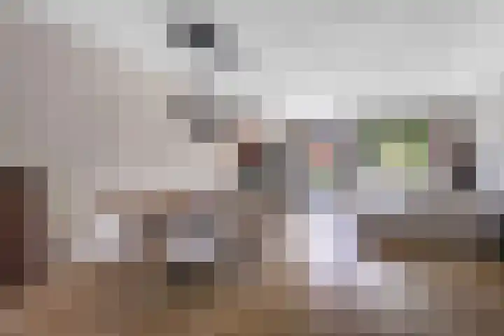 Pinksterbloemlaan 1 Hoeven thumbnail 9