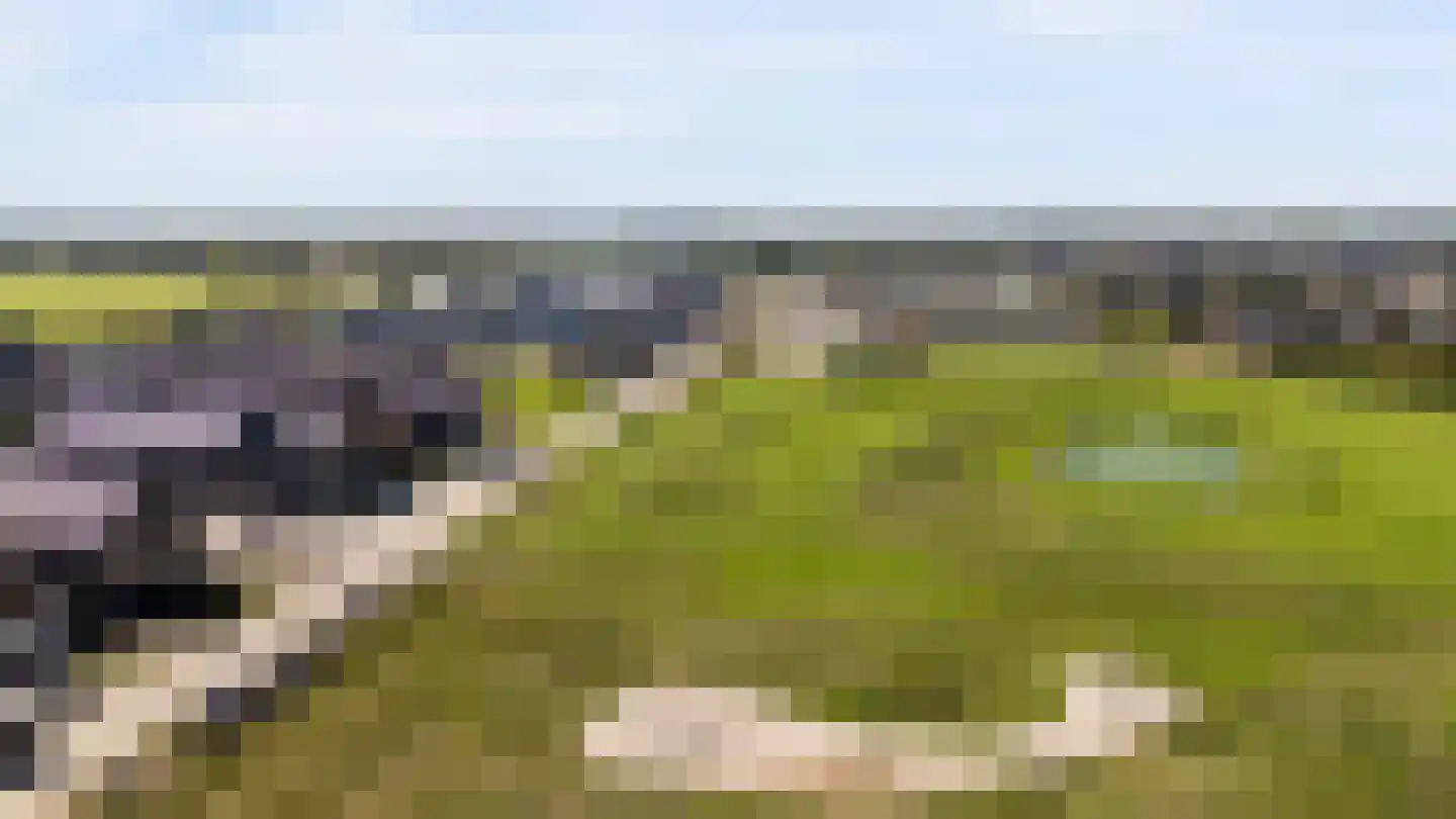Pinksterbloemlaan 11 Lelystad thumbnail 36
