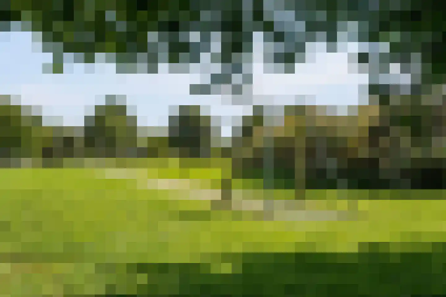 Pinksterbloemlaan 11 Lelystad thumbnail 37
