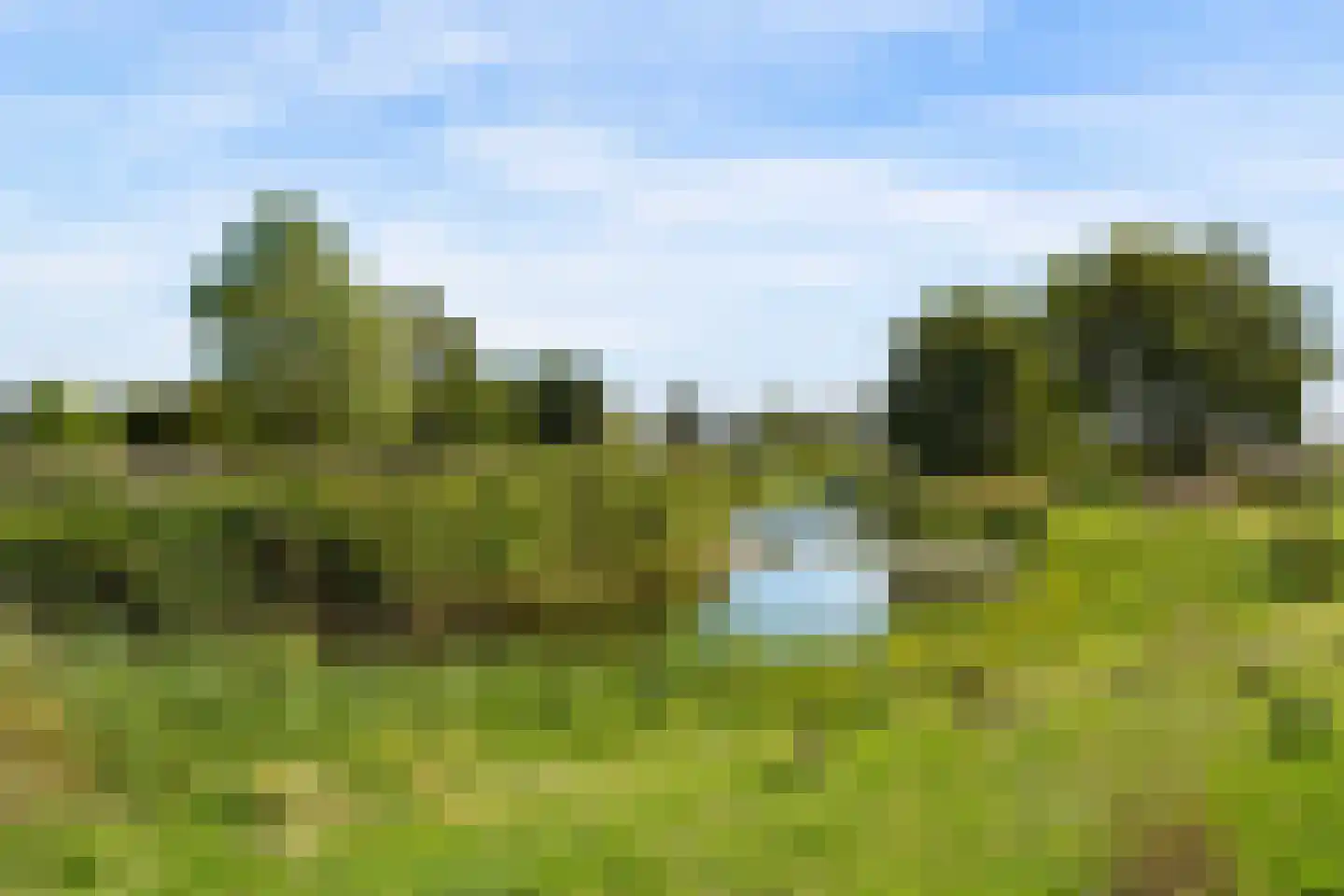 Pinksterbloemlaan 11 Lelystad thumbnail 39