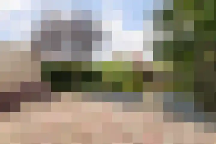 Pinksterbloemlaan 8 Berkel en Rodenrijs thumbnail 14