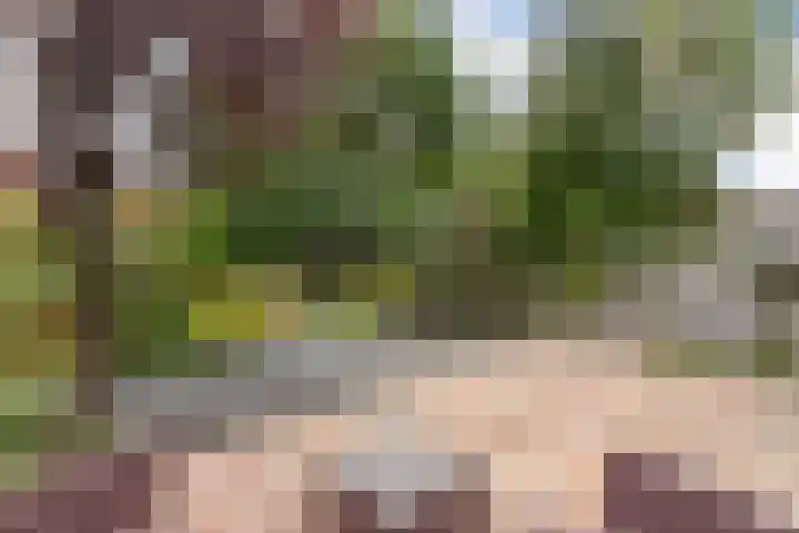 Pinksterbloemlaan 8 Berkel en Rodenrijs thumbnail 15