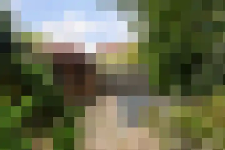 Pinksterbloemlaan 8 Berkel en Rodenrijs thumbnail 16