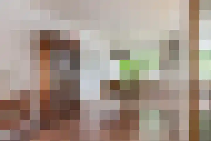 Pinksterbloemlaan 8 Berkel en Rodenrijs thumbnail 18