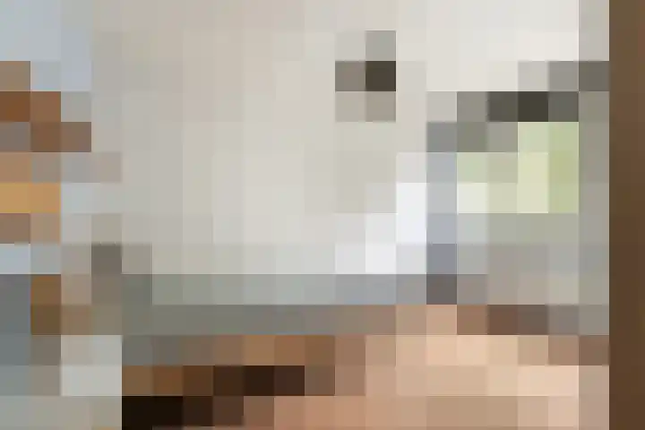 Pinksterbloemlaan 8 Berkel en Rodenrijs thumbnail 22
