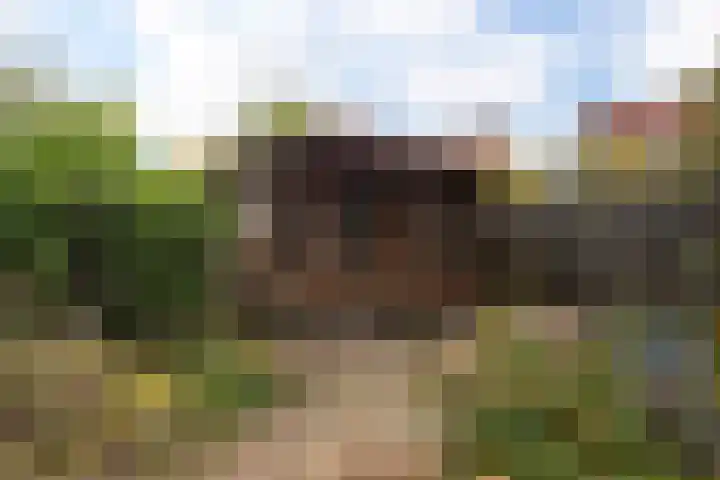 Pinksterbloemlaan 8 Berkel en Rodenrijs thumbnail 27