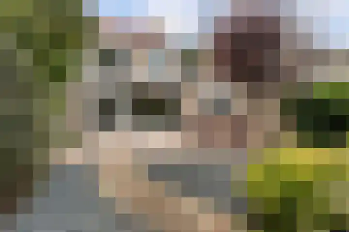 Pinksterbloemlaan 8 Berkel en Rodenrijs thumbnail 4