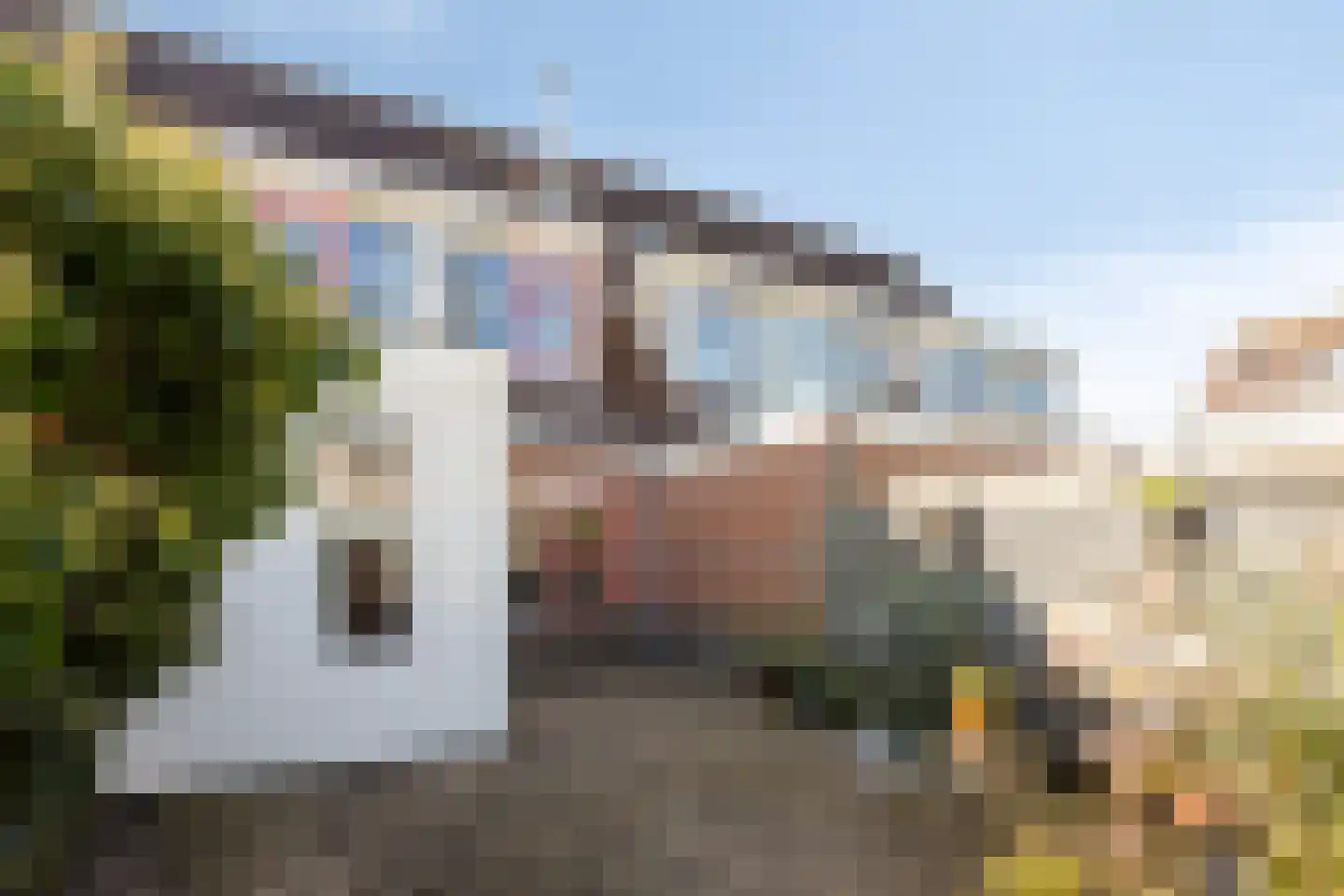Pinksterbloempad 5 Akersloot thumbnail 27