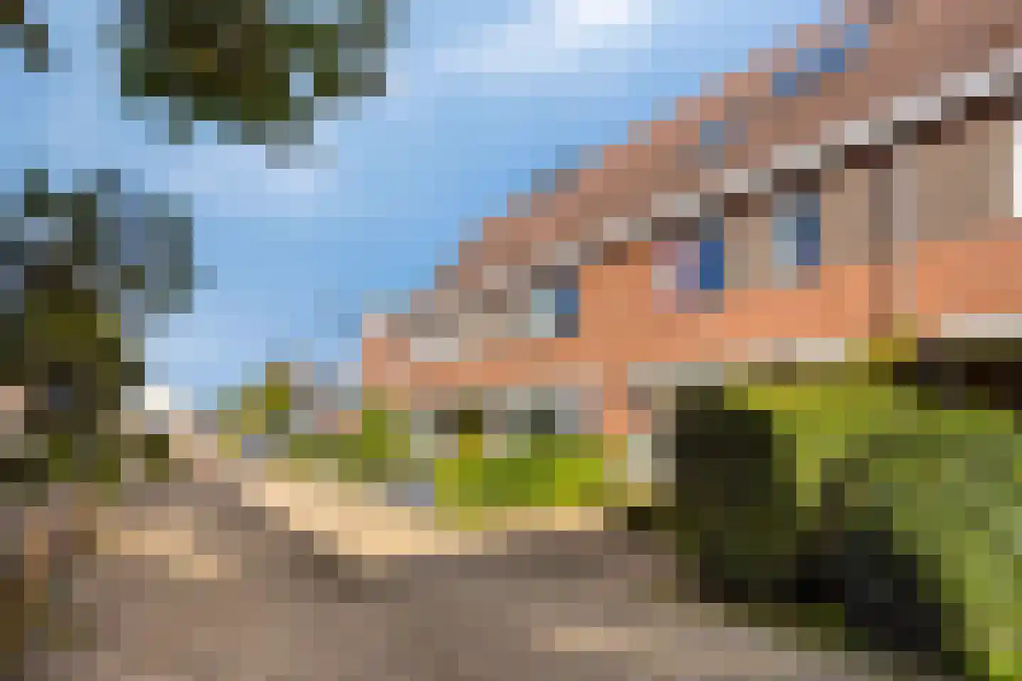 Pinksterbloempad 5 Akersloot thumbnail 30