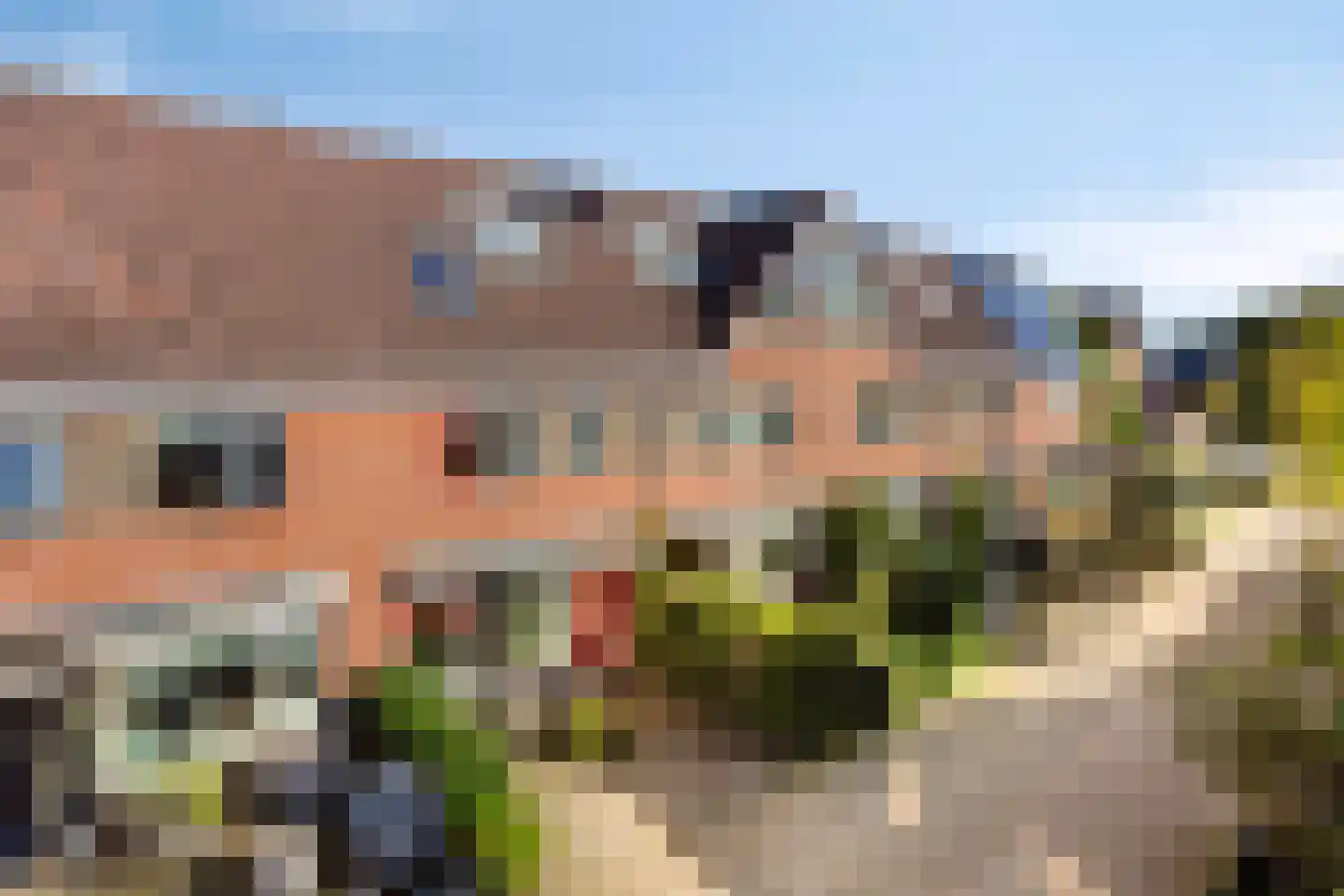 Pinksterbloempad 5 Akersloot thumbnail 32