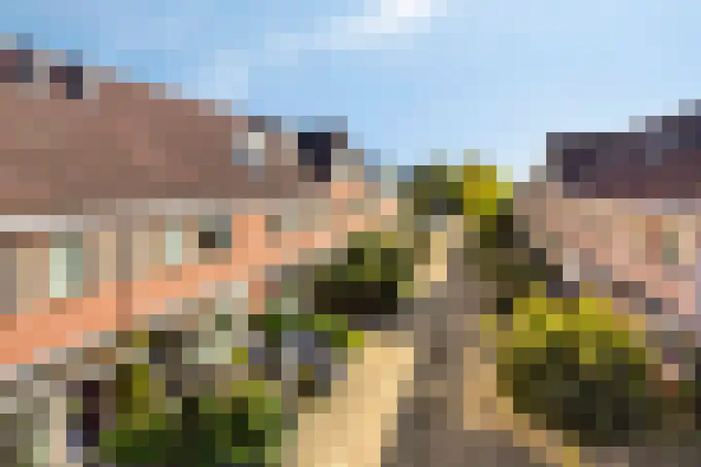 Pinksterbloempad 5 Akersloot thumbnail 34