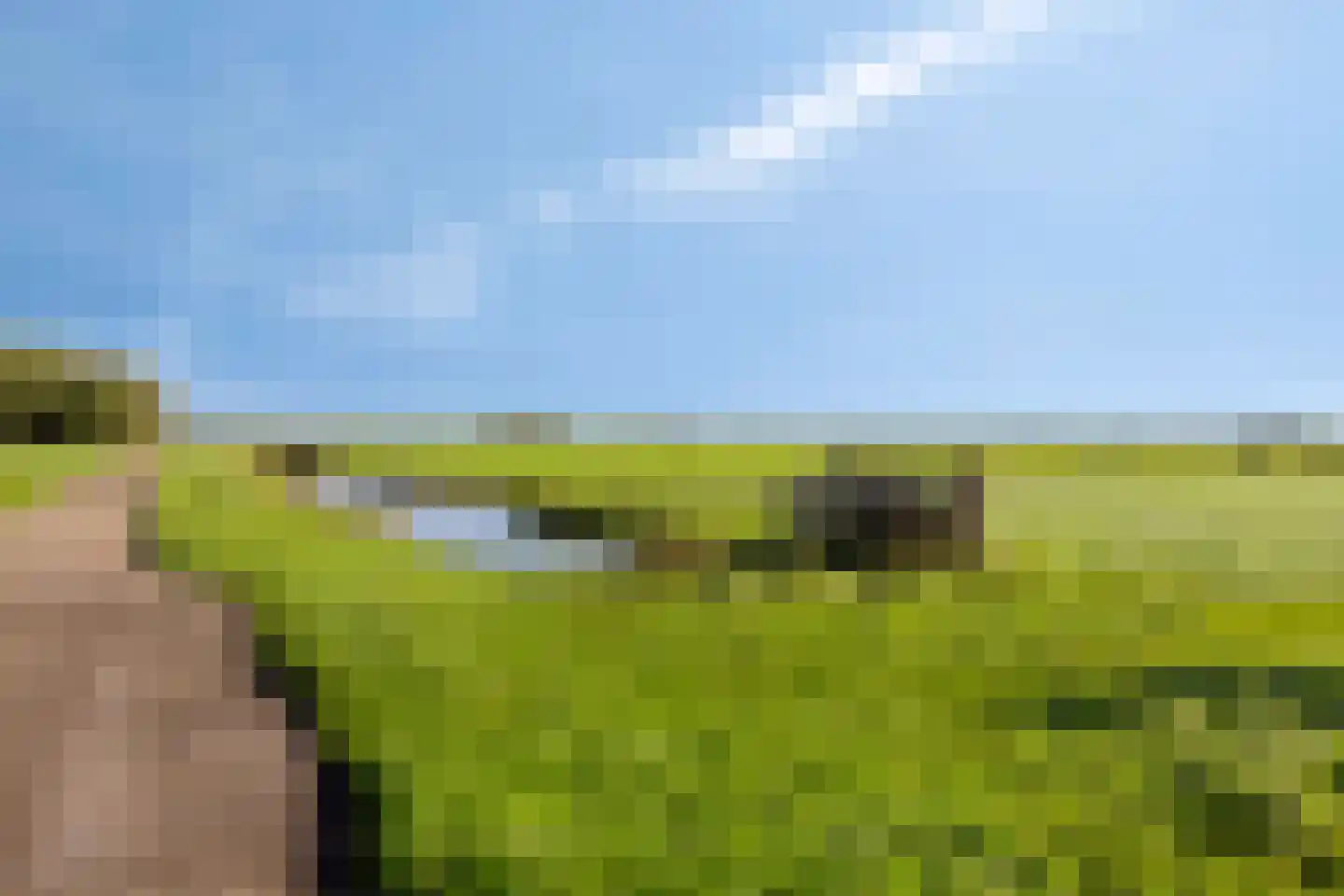 Pinksterbloempad 5 Akersloot thumbnail 36